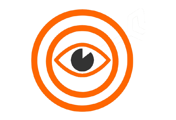 Vision